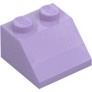 LEGO Sklon 2 x 2 (45°) (3039 / 6227)