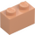 LEGO Tělová Kostka 1 x 2 se spodní trubičkou (3004 / 93792)